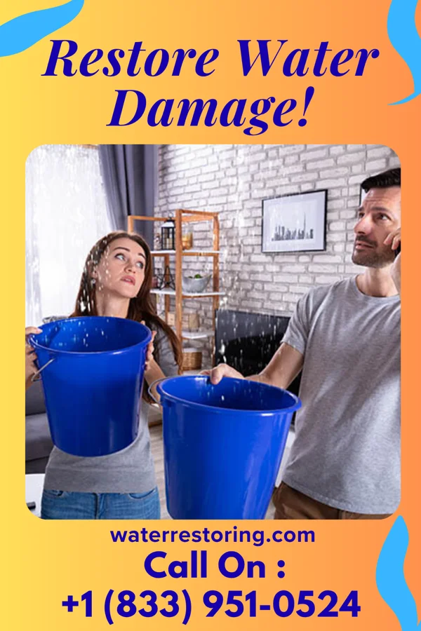 water restoration Silver Water Restoration Experts Lucama