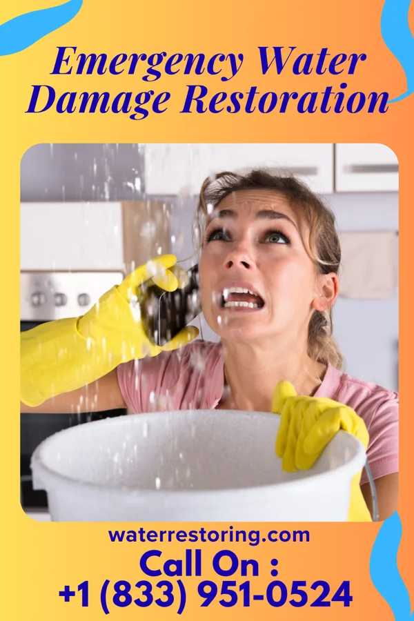Emergency Water Damage Restoration in Lucama, NC